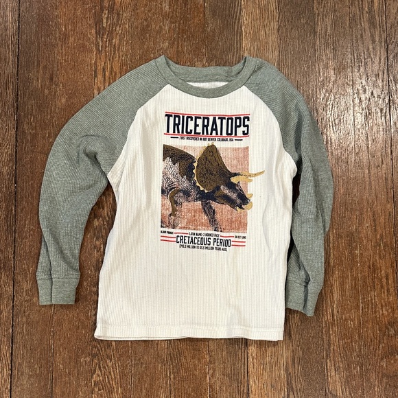 Garanimals Triceratops Long Sleeve Shirt - Gray and White - Picture 1 of 2